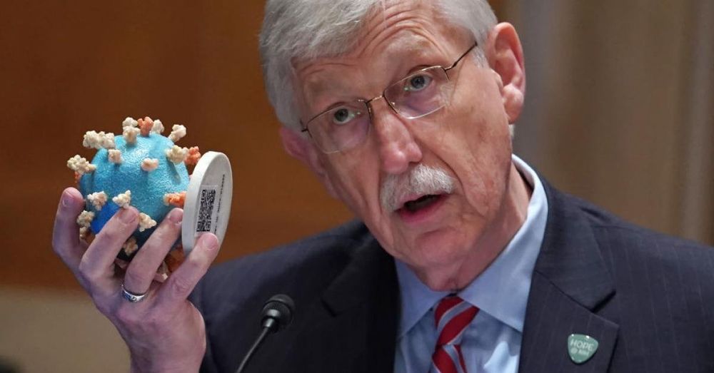 Former NIH Director Collins contradicts Fauci on COVID origins conference call: House subcommittee