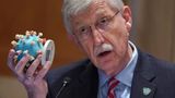 Former NIH Director Collins contradicts Fauci on COVID origins conference call: House subcommittee