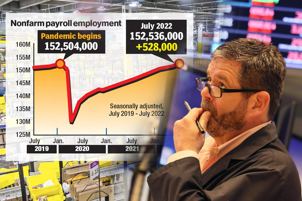 IGNORE MEDIA SPIN ABOUT JOBS, ECONOMY IS DREADFUL