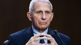 Watch Live: Former NIAID Director Dr. Anthony Fauci testifies before House Oversight panel