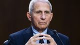 Fauci likely to be asked these 10 questions during two-day transcribed interview this week