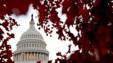 Republicans Secure Half of Total US Senate Seats