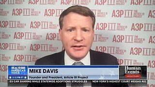 Mike Davis: This Election Interference is Republic Ending