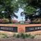 Professor who says pedophiles should be called 'minor-attracted persons' resigns from university