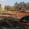 U.S. airstrike in Syria kills 'senior al-Qaeda leader,' CENTCOM says