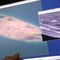 Navy video shows China’s man-made islands