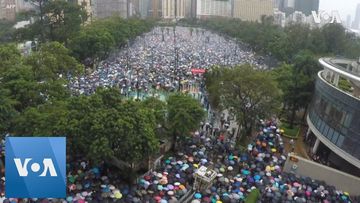 Timelapse: Hong Kong Protesters Continue Sunday Demonstration Despite Rain