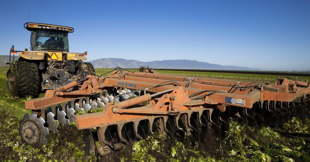 Farmers face 'a lot of uncertainty' as record diesel prices squeeze operations