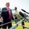 Trump Continues to Pressure Fed For More Interest Rate Cuts