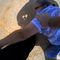 Oklahoma Woman Shot with Taser After Refusing Ticket