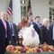 President Trump Pardons the National Thanksgiving Turkey