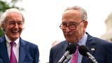 Schumer urges Congress to pass ban on bump stocks after Supreme Court ruling