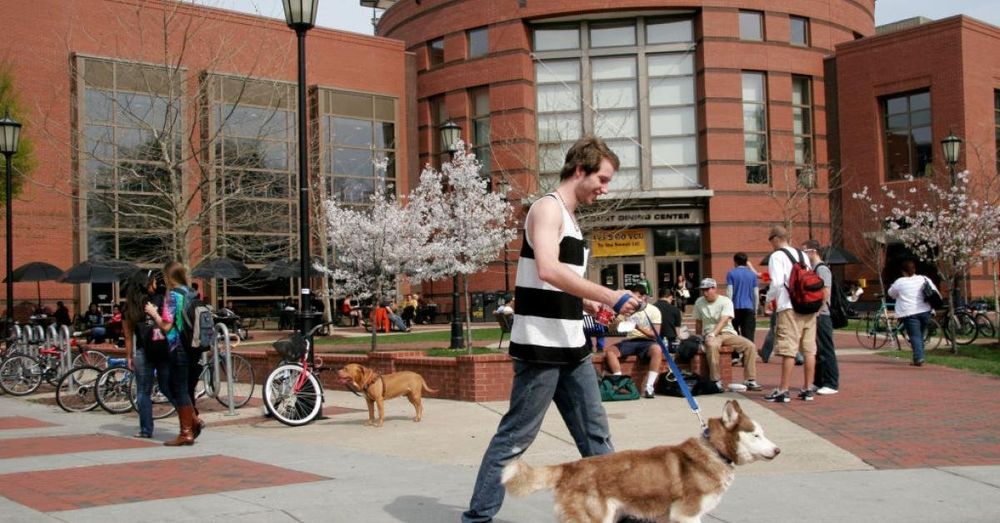 University hospital system nurse fired after posting videos instructing 'sabotage' of ICE agents