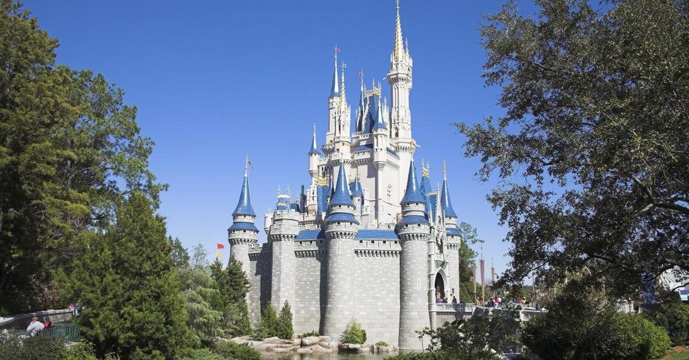 ICE arrests undocumented Argentinian who stayed on visa to visit Disney World that expired in 2016