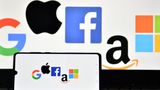 You Vote: Should the government treat Big Tech companies as monopolies?