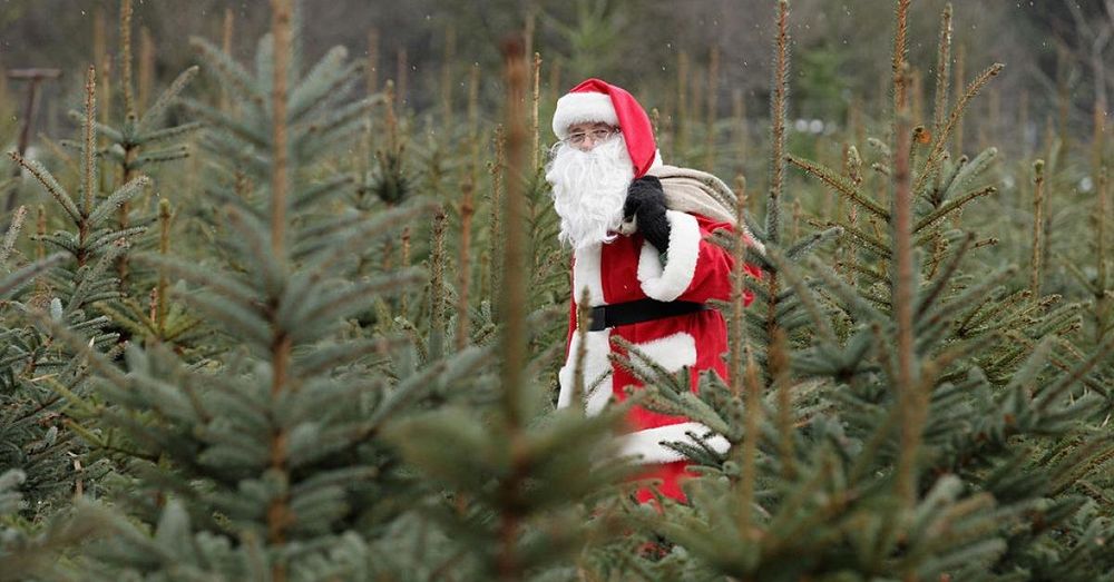 New York village threatens church for selling Christmas trees, prompting lawsuit threat