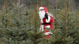 New York village threatens church for selling Christmas trees, prompting lawsuit threat