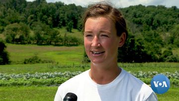 Successful Company Gives Back By Running a Community Farm