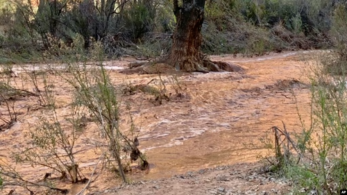 Tourists Hoping to See Arizona Falls Forced Out by Flooding