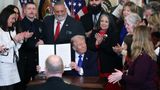 'Second-class citizens': Angel Families describe two-tiered justice system for illegal immigrants