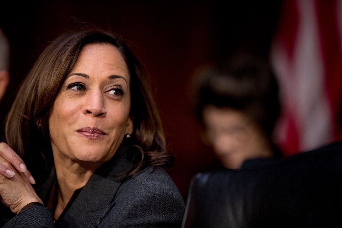 Harris Picks up Endorsement From Black Women’s Organization