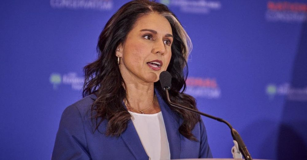 Gabbard slams Clapper, Brennan for thinking they could 'undermine' a 'duly elected president’