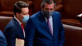 7 Senate Democrats Ask Ethics Panel to Investigate Cruz, Hawley