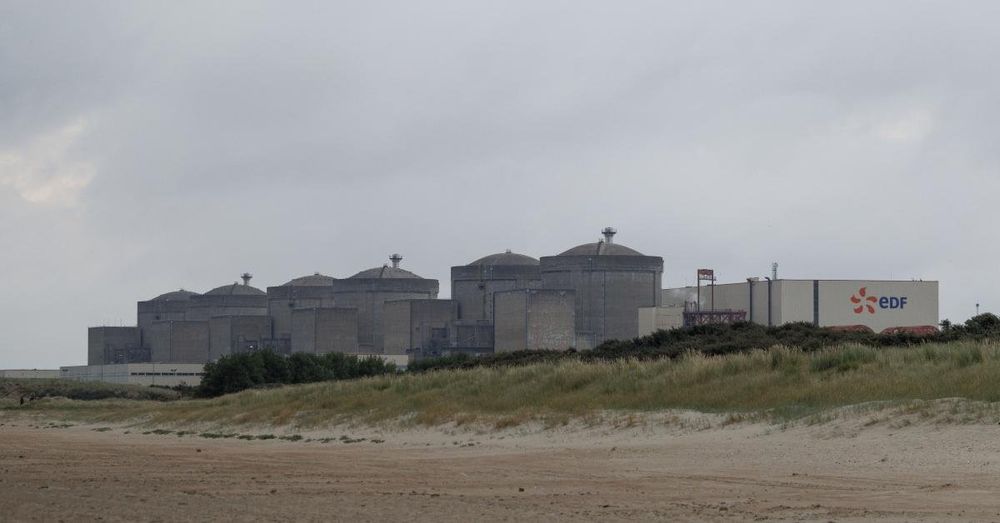 Jellyfish shut down French nuclear reactors