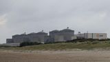 Jellyfish shut down French nuclear reactors