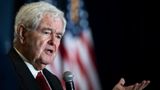 Trump has two years to push his biggest policies through and Republicans know it, Gingrich says