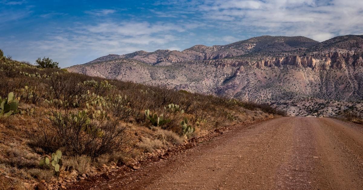 Forest Service will begin ‘aerial shooting’ of wild cattle in New Mexican wilderness - Real America's Voice News