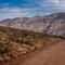 Forest Service will begin ‘aerial shooting’ of wild cattle in New Mexican wilderness