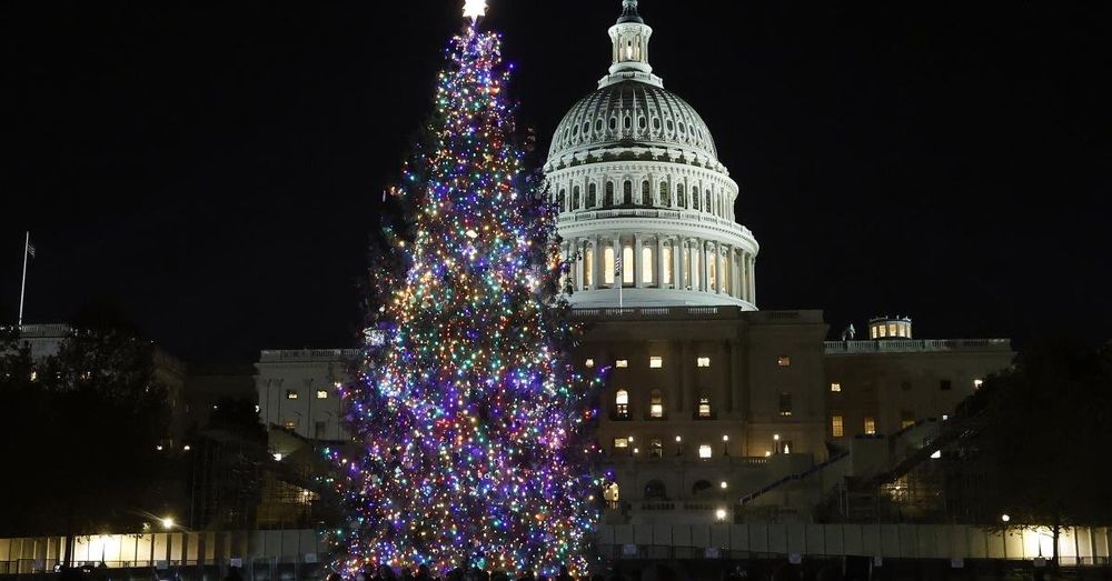 Mike Johnson leads 60th annual Capitol Hill Christmas tree lighting ceremony