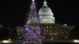 Mike Johnson leads 60th annual Capitol Hill Christmas tree lighting ceremony