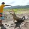 Costa Rican Man Faces Down Hungry Crocodiles to Make Ends Meet
