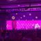 At record-setting Young Women's Leadership Summit, Owens tells attendees ready for 'culture battle'