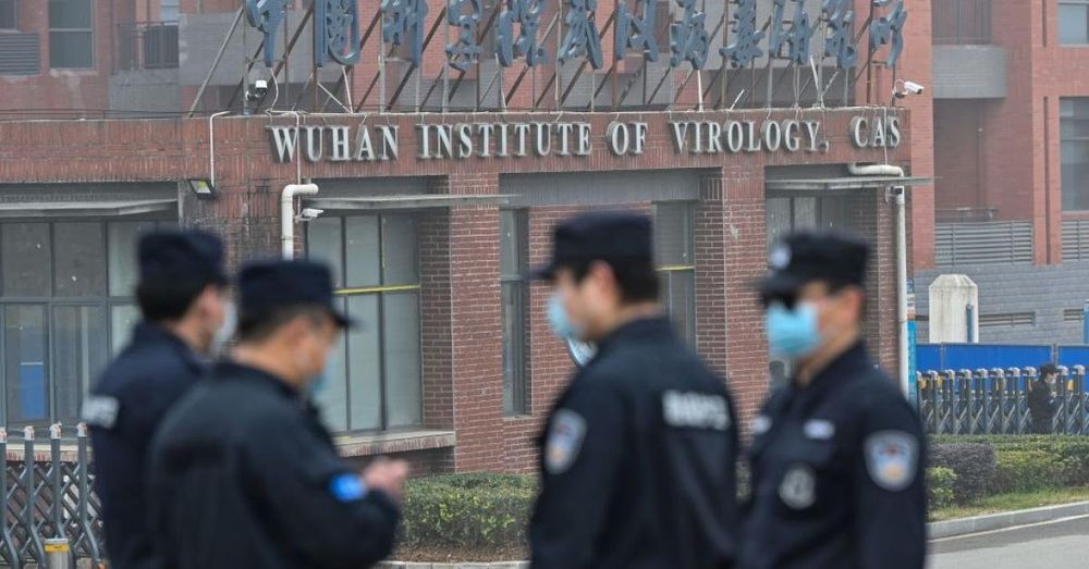 German spy agency 'convinced' COVID-19 likely came from Wuhan lab