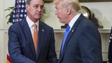 Trump endorses David Perdue in Georgia governor's race