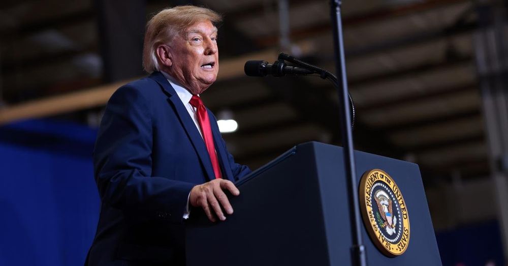 Trump praises supporter for allegedly punching protester at South Carolina rally: 'That was great'