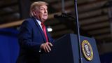 Trump praises supporter for allegedly punching protester at South Carolina rally: 'That was great'