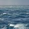 Biden administration moves to protect ‘Hudson Canyon’ 100 miles off coast of New York