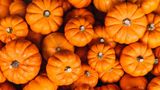 This surprising state tops U.S. in pumpkin production despite recent decline in value