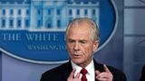 Trump: 'I would absolutely' have Peter Navarro in admin if reelected