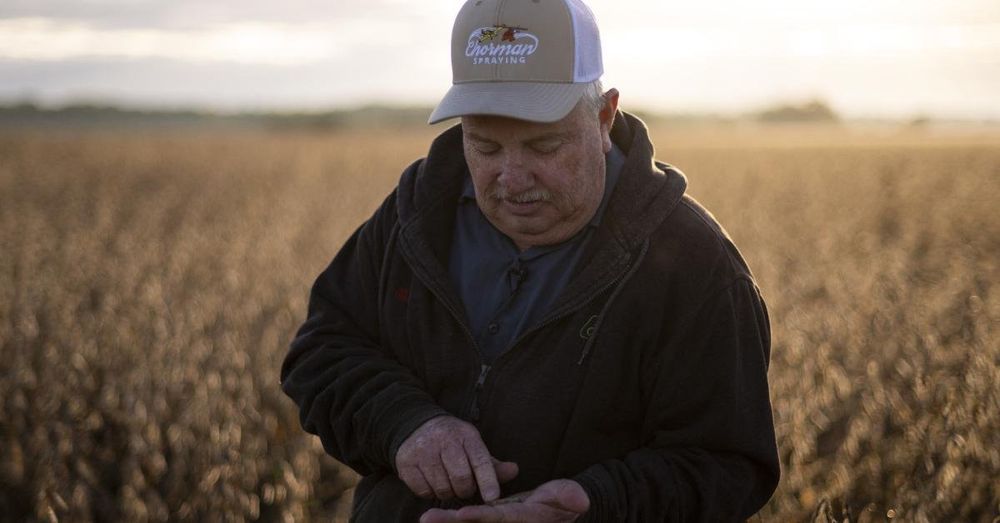 Illinois soybean farmers face uncertainty amid MAHA push against seed oils