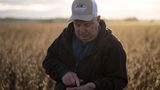 Illinois soybean farmers face uncertainty amid MAHA push against seed oils