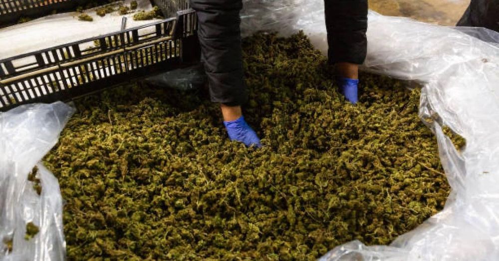 Bipartisan House bill aims to replace hemp product ban with federal regulatory system