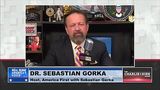 ‘It’s not tolerance, it’s perversion’: Seb Gorka BLASTS Court Forcing Sorority to Allow Transgender