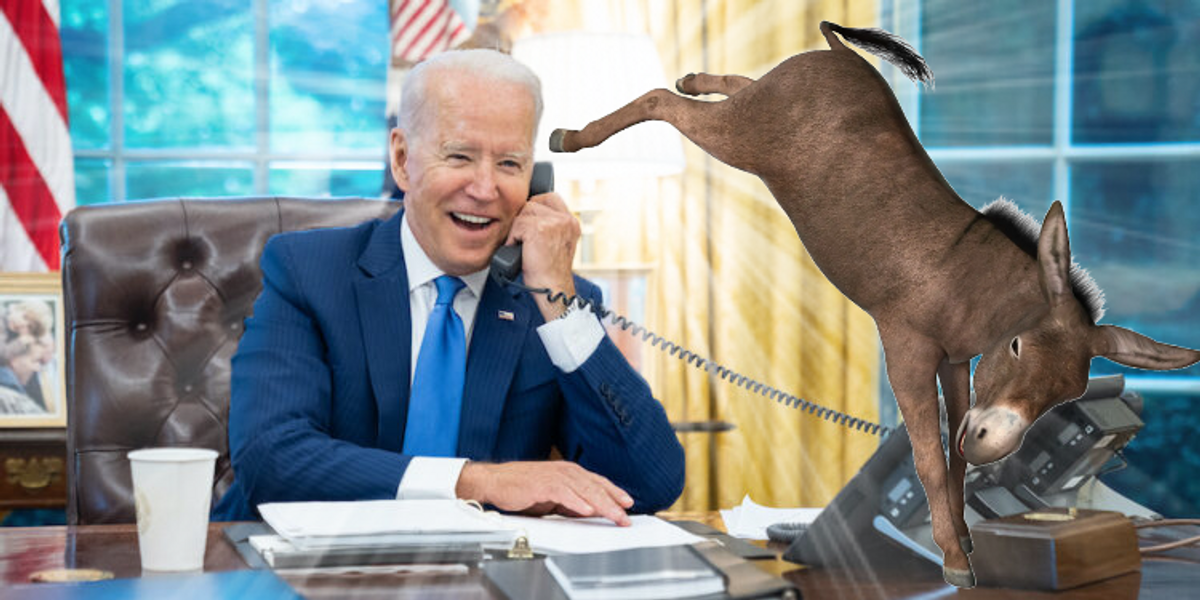Are the Democrats Intentionally Sabotaging Joe Biden's 2024 Re-Election?