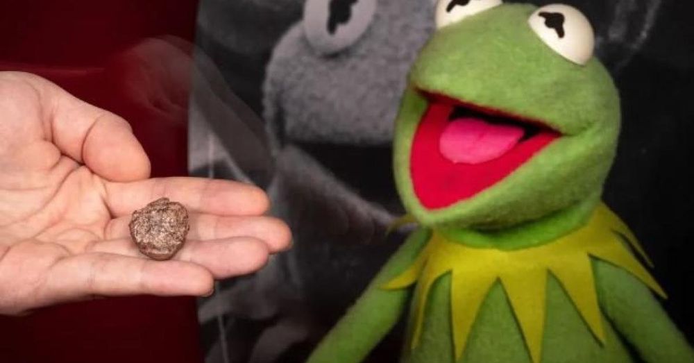 Kermit the Frog immortalized by an ancient amphibian fossil