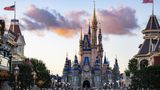 Disney World shuts down after black bear wanders into Magic Kingdom